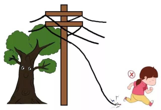 【应急常识】学起来!雷雨天气必备五条防触电知识