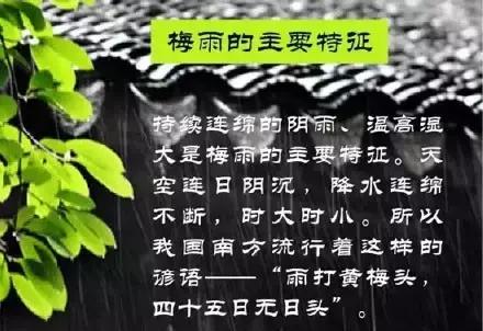 梅雨季丨不得不看的梅雨知识