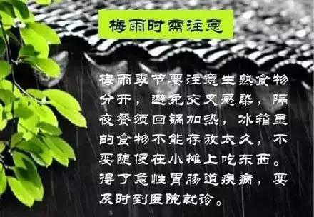 梅雨季丨不得不看的梅雨知识