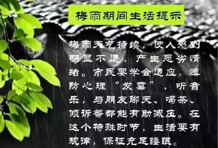 梅雨季丨不得不看的梅雨知识