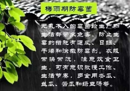 梅雨季丨不得不看的梅雨知识