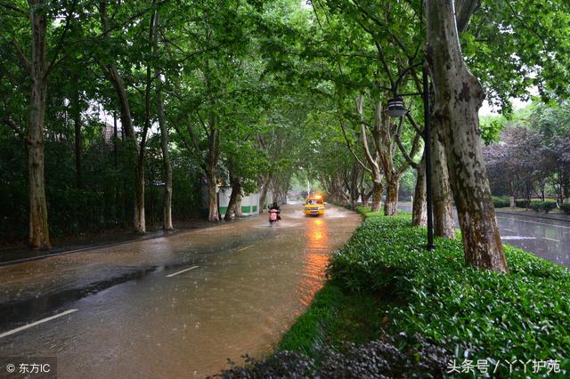 梅雨季,这些健康知识请收好!