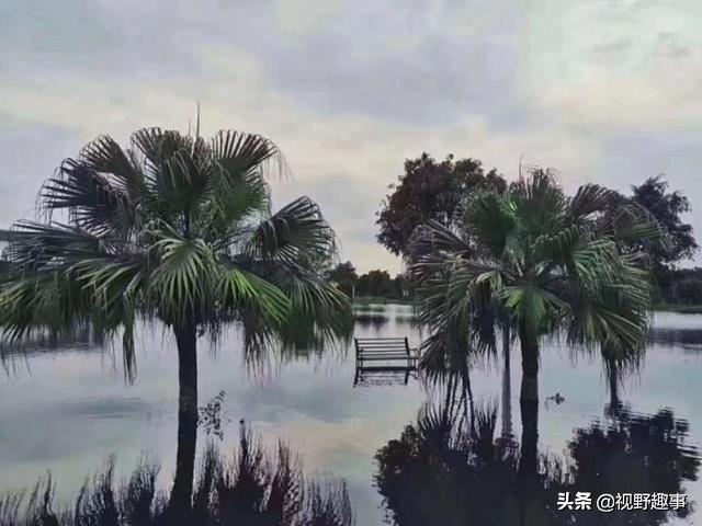 梅雨季来了，你居然可以这么美……