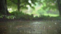 熬过梅雨季，今年上海又