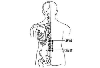 初伏按3穴位，健脾祛湿壮阳