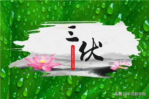 今入中伏明迎大暑！初伏防暑，中伏祛湿，末伏防温差