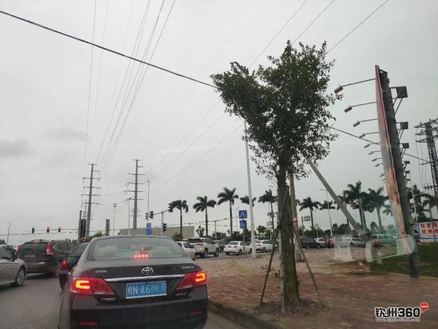 清明一大早!金海湾大道钦州西方向大塞车,还有这些路段交通管制