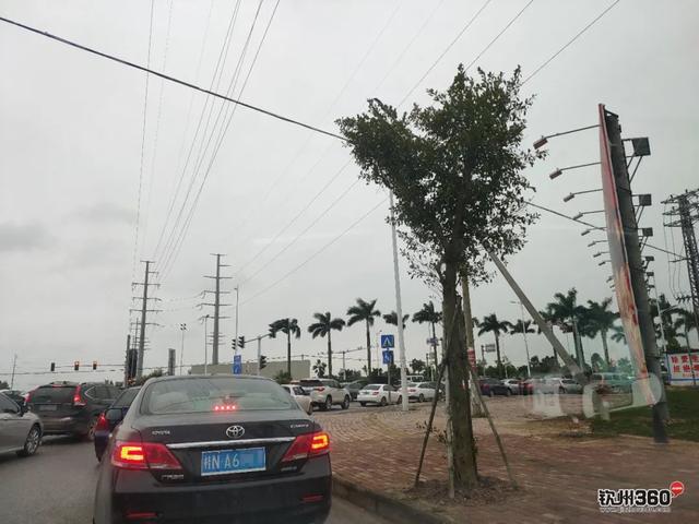 清明一大早！金海湾大道钦州西方向大塞车，还有这些路段交通管制