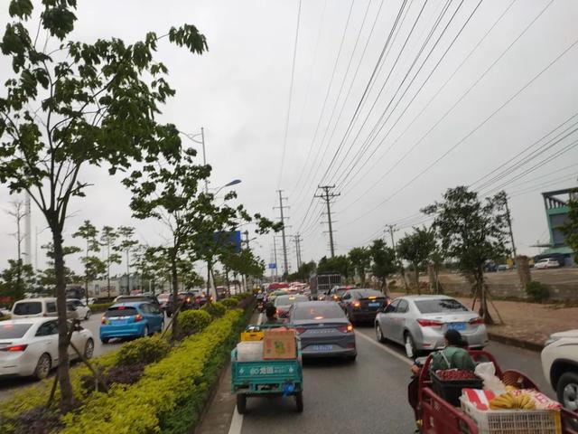 清明一大早！金海湾大道钦州西方向大塞车，还有这些路段交通管制