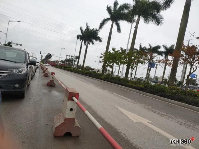 清明一大早!金海湾大道钦州西方向大塞车,还有这些路段交通管制