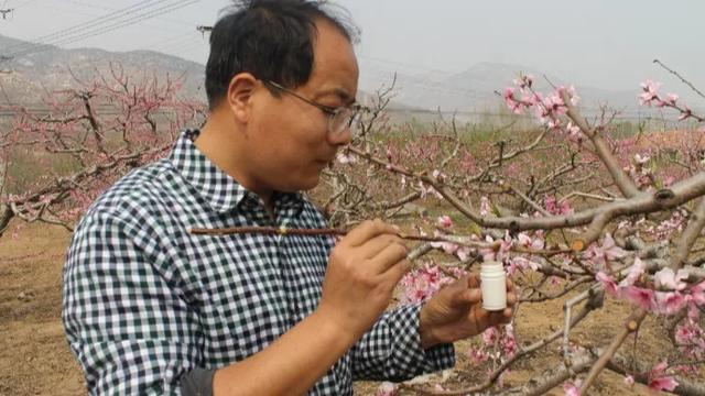 倒春寒真的要来了,如何预防和补救?