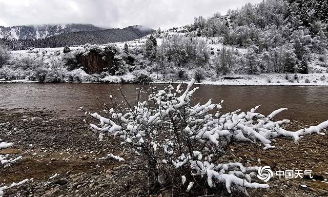 青海班玛红军沟雪后现雪淞美景