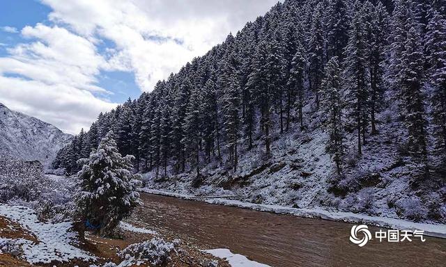 青海班玛红军沟雪后现雪淞美景