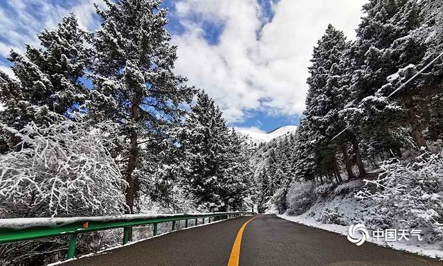 青海班玛红军沟雪后现雪淞美景