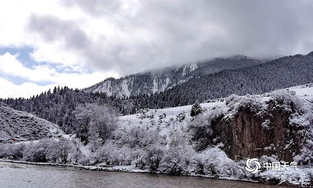 青海班玛红军沟雪后现雪淞美景