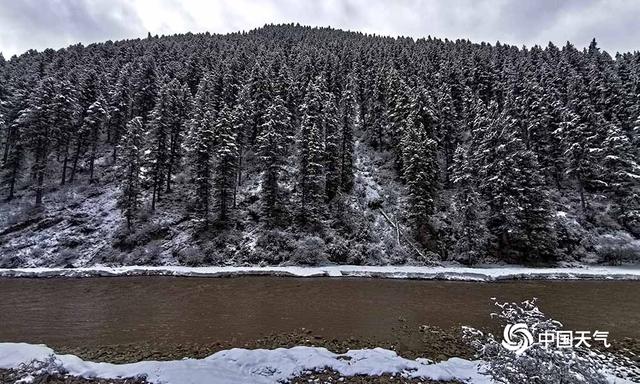 青海班玛红军沟雪后现雪淞美景