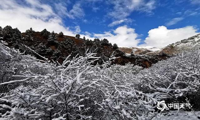 青海班玛红军沟雪后现雪淞美景