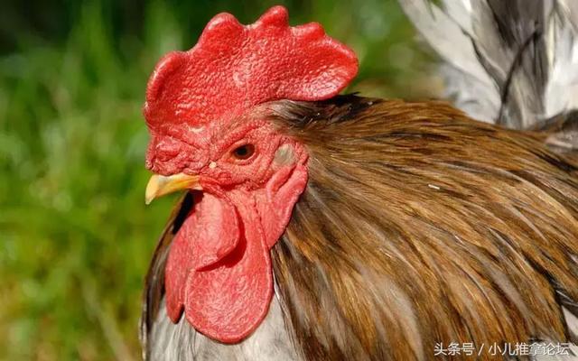 孩子总是无缘无故就生病?5分钟教你精准预判孩子健康状况