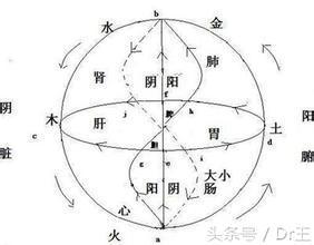 参透小儿的身体的健康密码，找到自己健康的差距，真的很实用！