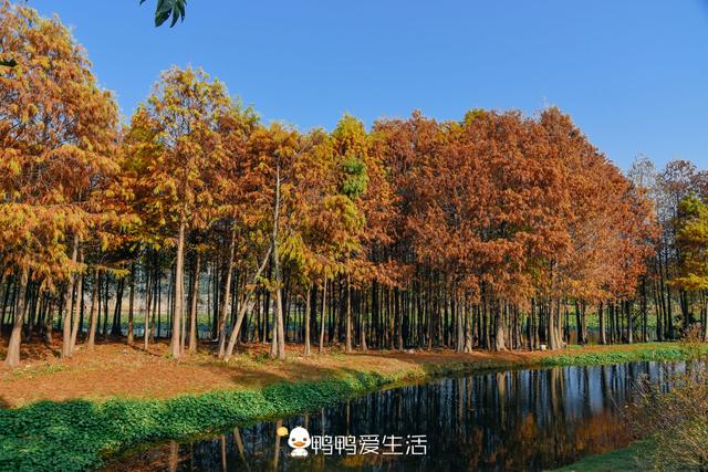 最大气的旅游城市,国有A级景区全免费,这些景点你都来过了么?
