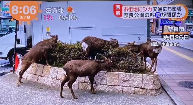 少了中国游客，全世界旅游景点都崩溃了