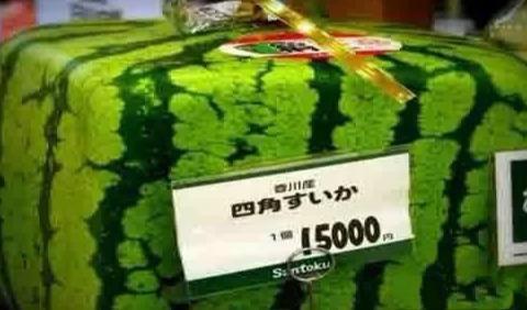 日本游客来中国吃自助引热议,大鱼大肉一口不动,只吃便宜货