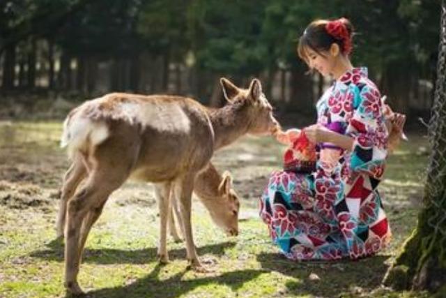 女性去日本旅游,上“透明公厕”时,该如何保护隐私呢