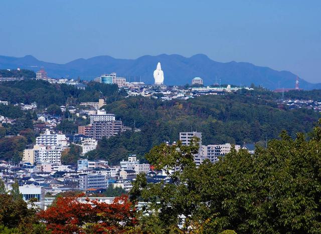 日本有座巨大“观音像”:内部可搭乘电梯,一到夜晚却让人不适?