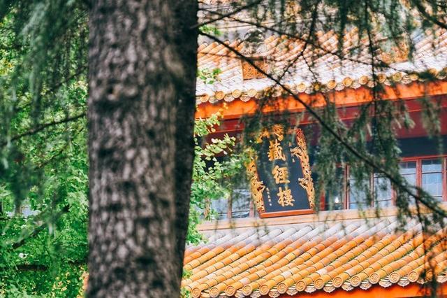 “天府之国”成都都藏着哪些饕餮大餐?给你一份蓉城私藏美食清单