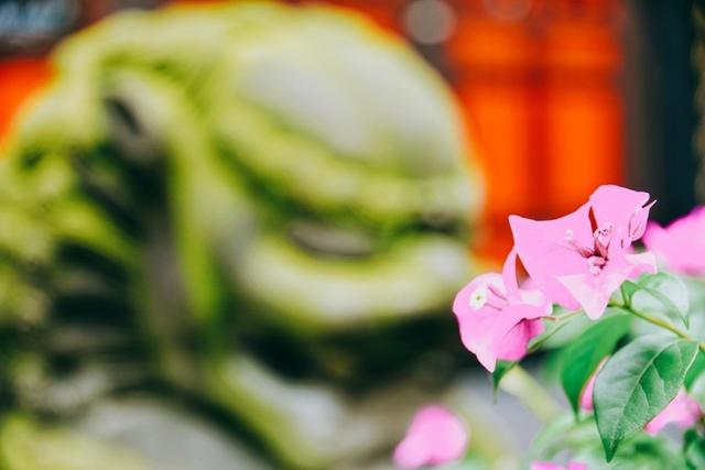 “天府之国”成都都藏着哪些饕餮大餐?给你一份蓉城私藏美食清单