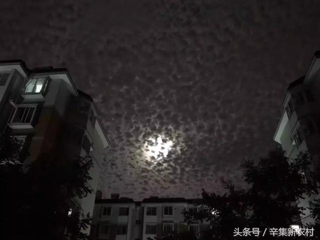 河北省辛集：夜空空惊现“地震云”？网友吵翻了！真相竟是……