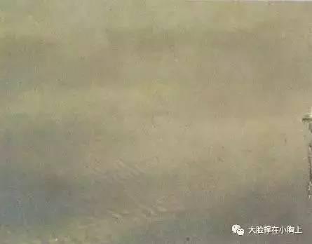 「辟谣」别再谈什么“地震云”,没有云能预报地震!
