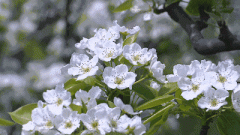 台州先晴后雨，气温先升