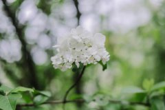 这样的好天气将持续多日