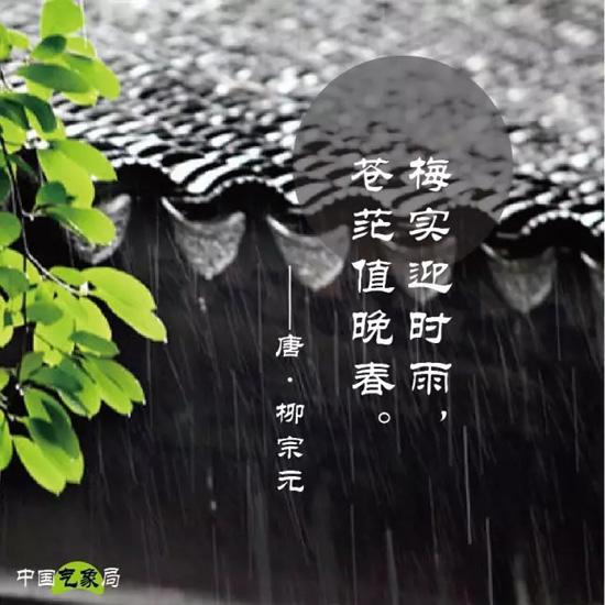 梅雨这些事儿，你应该知道！