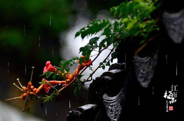 每天了解一种自然现象-梅雨