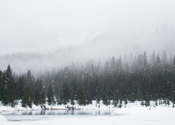 描写冬天景色的诗句 关于冬天自然景色的诗句