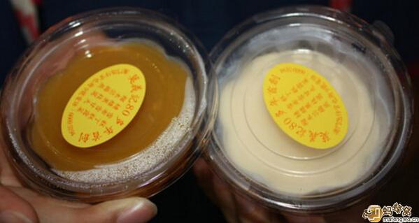 去澳门绝对不能错过的美食大盘点!