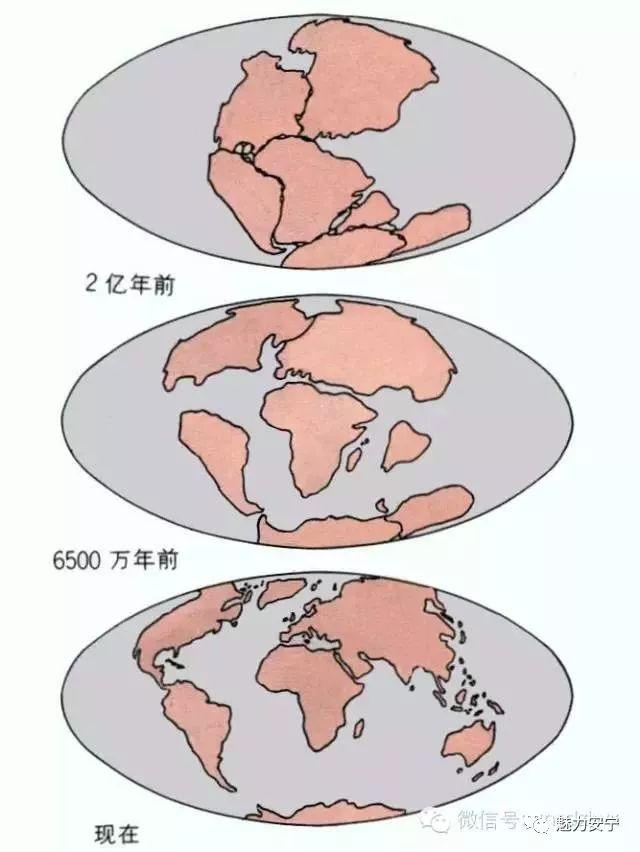 【科普】地震小知识