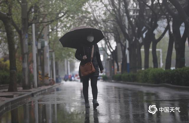 春寒料峭 河北石家庄降雨又降温