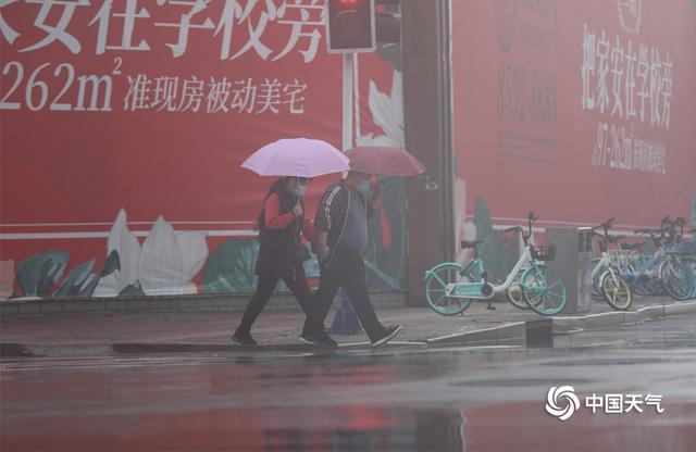 春寒料峭 河北石家庄降雨又降温