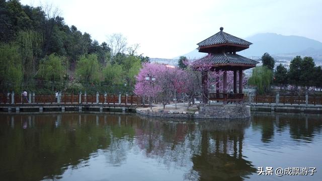 雅安市汉源县 经过汉源人民公园 我已被满园开满的鲜花吸引了