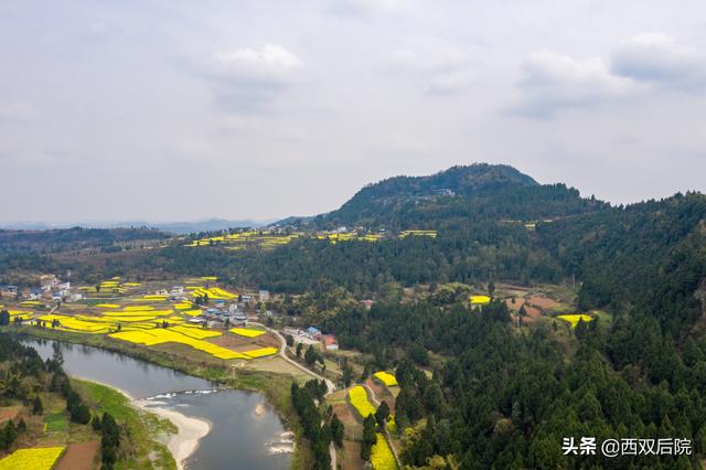 德阳罗江区凯江河沿岸的油菜花