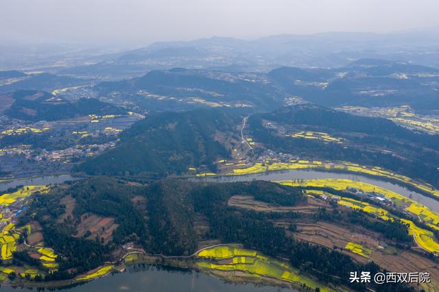 德阳罗江区凯江河沿岸的油菜花