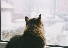 降温下雨的温馨提示 冰冷