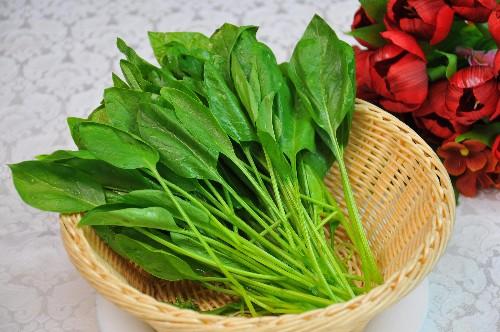 菠菜与豆腐同食会生成结石,危害身体健康,这是真的吗?