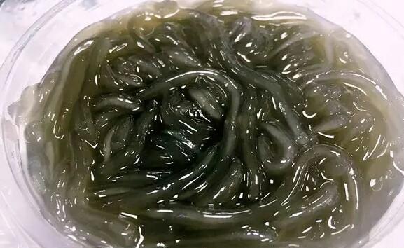 必尝的八大湛江美食,本地人都在吃,没吃过就白去湛江了
