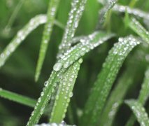小满：中国最有智慧的节