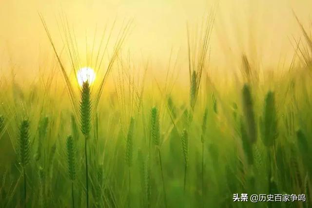 小满:一个饱含中国哲理,寄予希望的节气