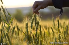 小满节气：养生牢记这几